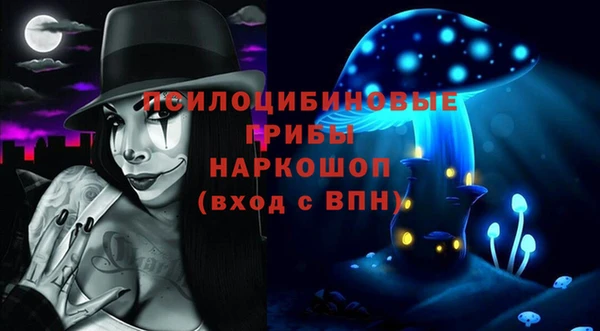 гидра Белоозёрский