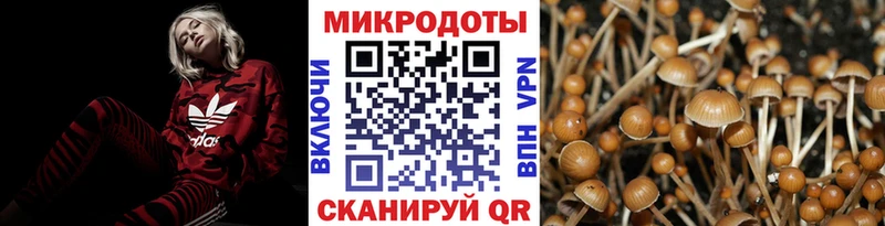 Галлюциногенные грибы GOLDEN TEACHER  Чкаловск 